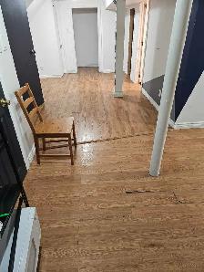Warden /Lawerence scarborough 3 bedrooms basement - Photo 3
