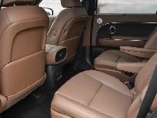2027 Hyundai Palisade Hybrid Ultimate Calligraphy - Photo 14