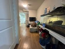 Newly Built Legal One-Bedroom Basement Suite – Charlesworth - Photo 7