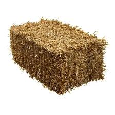 Small Square bales straw