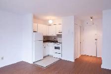 appartement studio dans le Plateau Mont-Royal - ID 4717