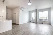 appartement penthouse 2 chambres à Ahuntsic - ID 2970 - Photo 4