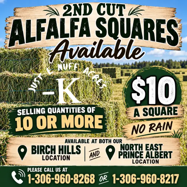 2nd cut Alfalfa Squares