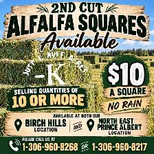 2nd cut Alfalfa Squares