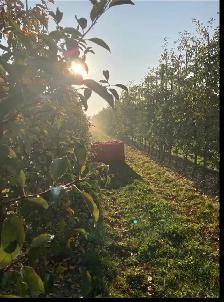 GENERAL FARM LABOURER
