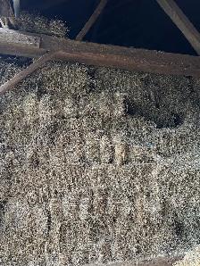 1st & 2nd cut hay