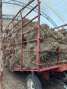 1st & 2nd cut hay - Photo 2