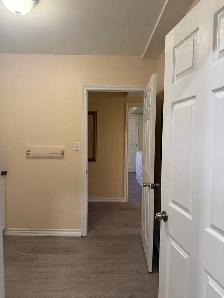 FURNISHED ROOM FOR RENT IN RICHMOND HILL - Photo 7