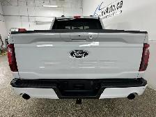 2024 Ford F-150 XLT XLT/3.5/HYBRID/LEATHER/PANOROOF/NAVI/OFF... - Photo 6