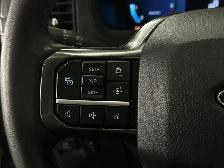 2024 Ford F-150 XLT XLT/3.5/HYBRID/LEATHER/PANOROOF/NAVI/OFF... - Photo 17