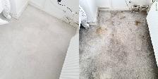Nettoyage tapis, sofa et vitres - Photo 2