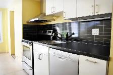 Beautiful spacious 2 bedroom basement suite - Photo 7