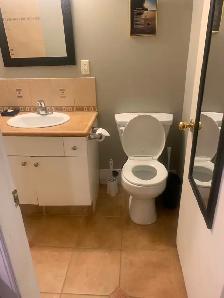 Gordon Head furnished Bachelor suite for 1 person only stud/prof - Photo 3