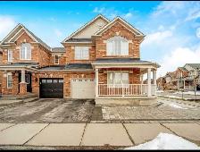 Spacious basement for rent