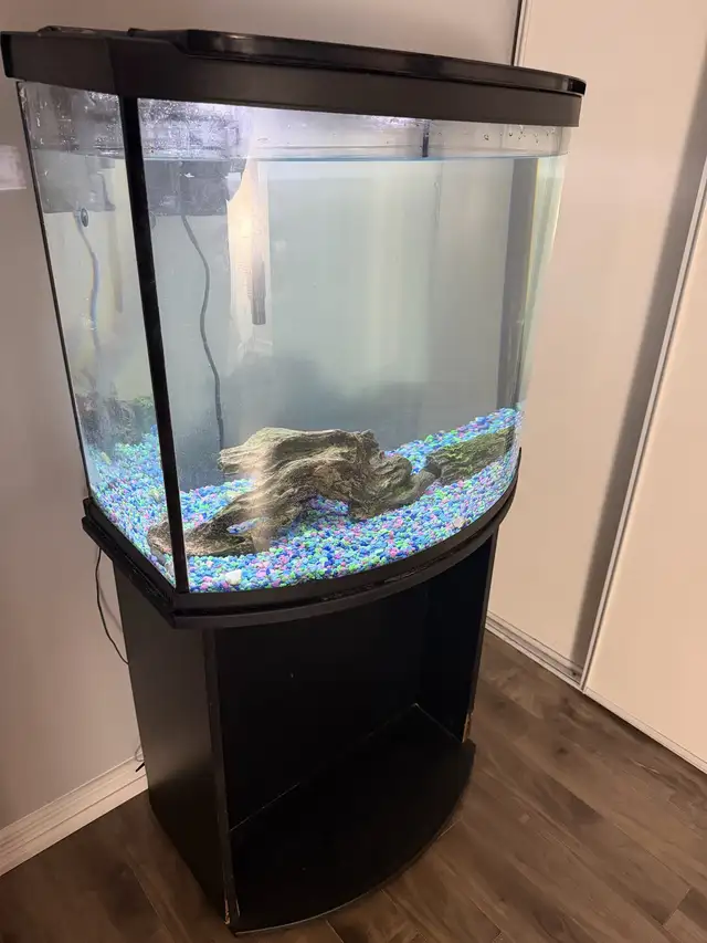 30 gallon aquarium tank, including stand, light, heater