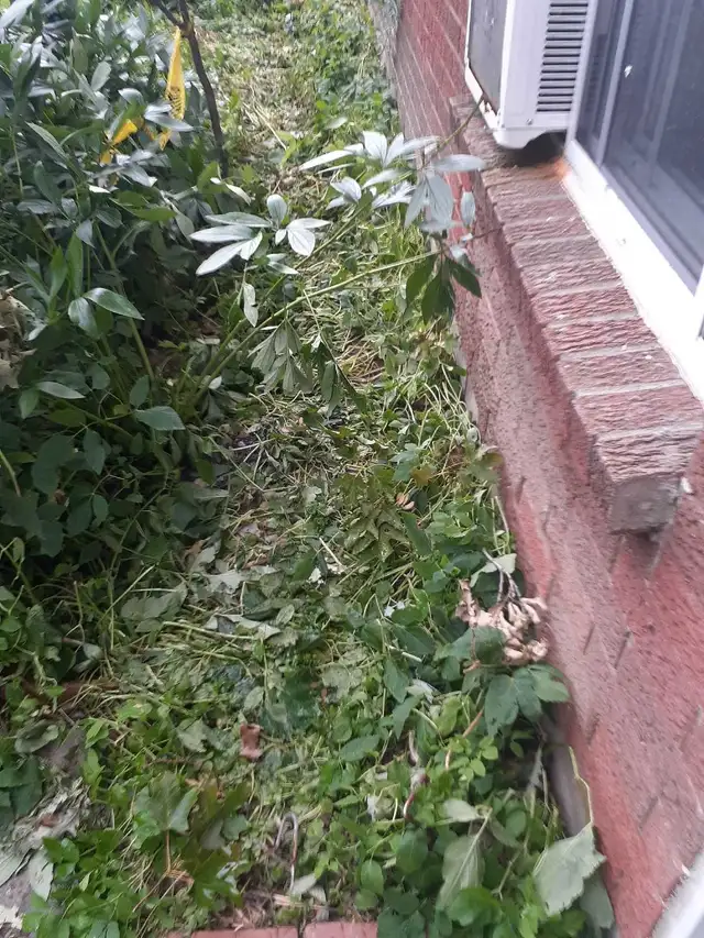small job gardening
