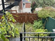 Grand 5 1⁄2 à louer dans Rosemont - occupation rapide possible - Photo 7