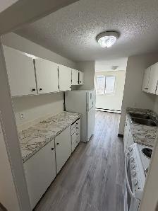 Brevoort Park 2 bedroom suite available Nov 1st