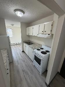 Brevoort Park 2 bedroom suite available Nov 1st - Photo 2