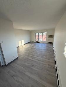 Brevoort Park 2 bedroom suite available Nov 1st - Photo 3