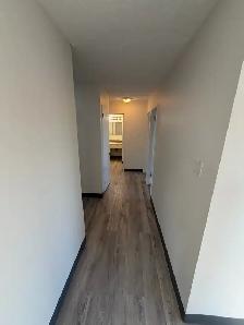 Brevoort Park 2 bedroom suite available Nov 1st - Photo 4
