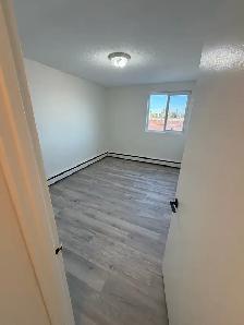 Brevoort Park 2 bedroom suite available Nov 1st - Photo 6