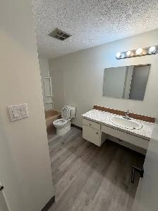 Brevoort Park 2 bedroom suite available Nov 1st - Photo 8