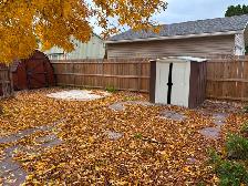 Open House Sunday Oct. 25  1-3 PM - Photo 2