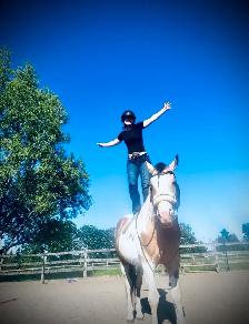 Stunning 5 Year old Paint Stallion - Photo 6