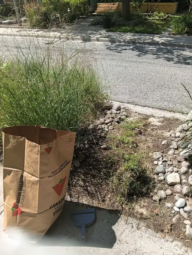 affordable labourer/gardener/mover for hire! 647-571-9326
