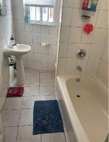 Nice Room for Rent - Western Downtown Toronto (Female only) - Photo 2