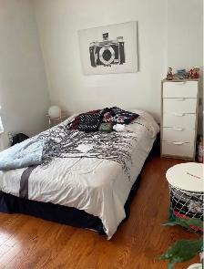 Nice Room for Rent - Western Downtown Toronto (Female only) - Photo 5