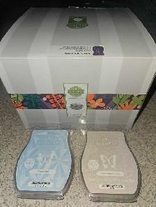 scentsy warmer