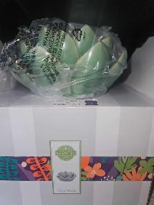 scentsy warmer - Photo 3