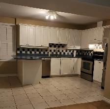 Spacious 2BR Walkout Basement Apartment Prime Location Newmarket