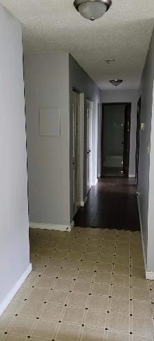 2 Bedroom Apartment in Westlock - Photo 7