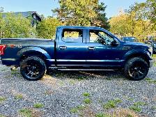 2017 FORD F150 levelled CREW - Photo 6