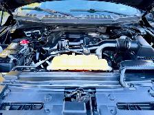 2017 FORD F150 levelled CREW - Photo 10