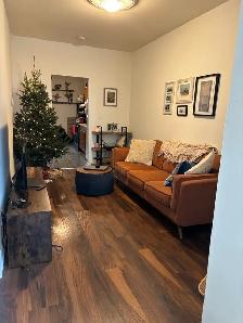 2 bedroom apartment-Central Hamilton escarpment - Photo 8