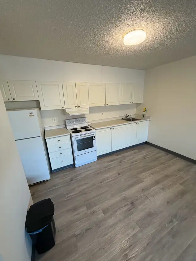 1 bedroom suite in Brevoort Park north