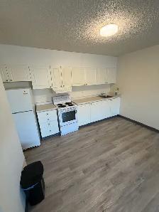 1 bedroom suite in Brevoort Park north