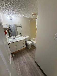 1 bedroom suite in Brevoort Park north - Photo 2