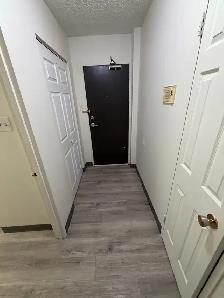 1 bedroom suite in Brevoort Park north - Photo 3