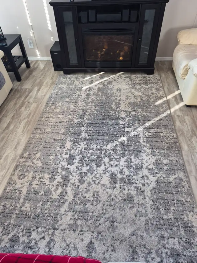 My Wife say's she needs a change!.......... $35 carpet