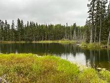 Beautiful acreage for rent - Photo 2