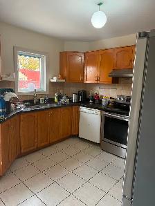 Looking for an easy going roommate - Photo 2