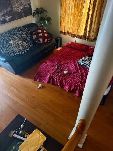 Looking for an easy going roommate - Photo 4