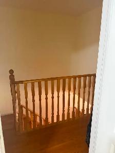 Looking for an easy going roommate - Photo 10