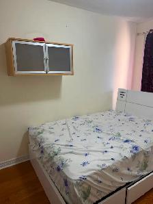 Looking for an easy going roommate - Photo 14