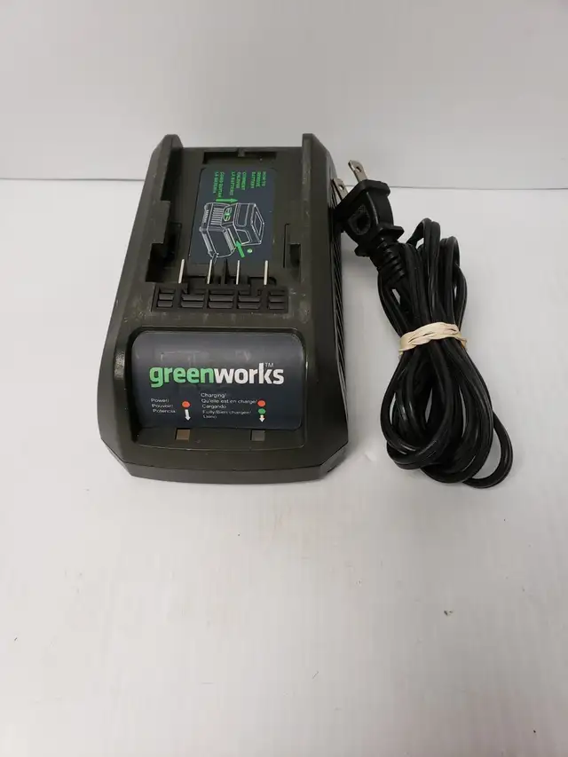 (9925607) Greenworks 29292 Charger